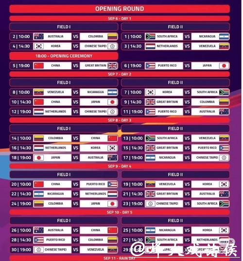 世界杯买球平台汇总，安全稳定更重要